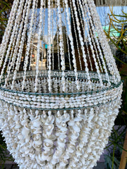 Shell Chandelier in Rote