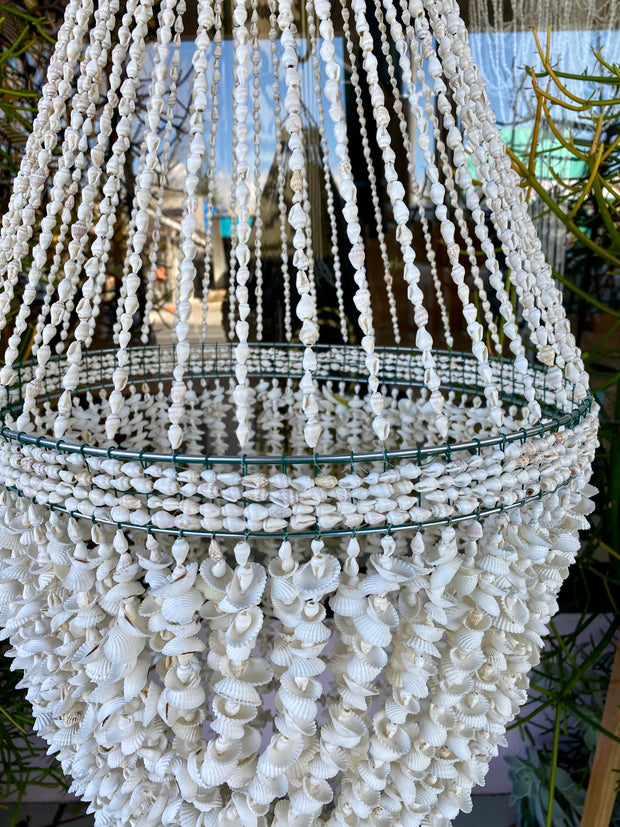 Shell Chandelier in Rote