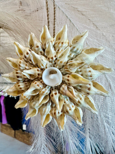 Shell Decorations  Star