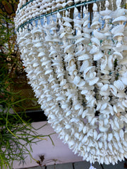 Shell Chandelier in Rote