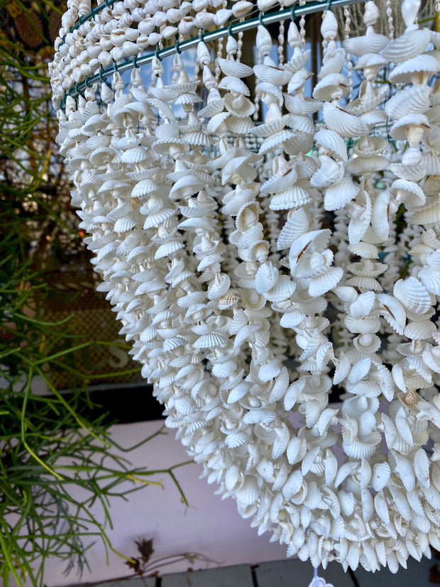 Shell Chandelier in Rote