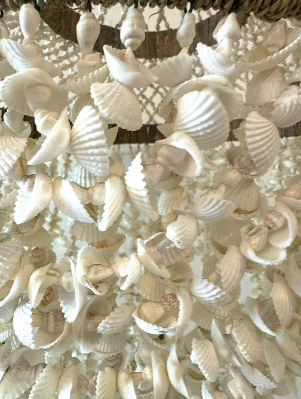 Shell Chandelier Small Deia