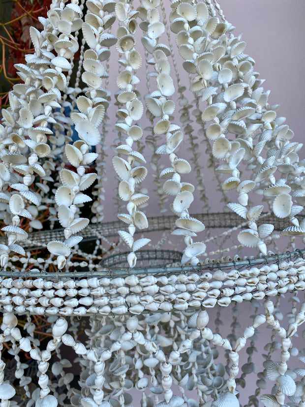 Shell Chandelier in Tivat