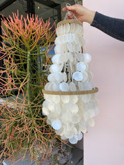 Shell Chandelier Small in Vintage 60's Capiz Shell