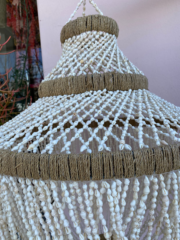 Shell Chandelier  in Fresco