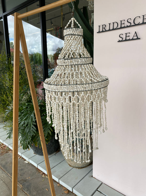 Shell Chandelier Domo