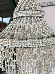 Shell Chandelier Domo