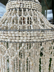 Shell Chandelier in Kotor